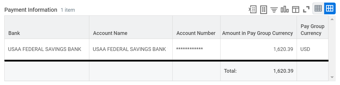 picture of payment information section from payslip