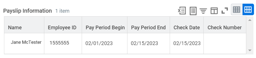picture of payslip information section from payslip